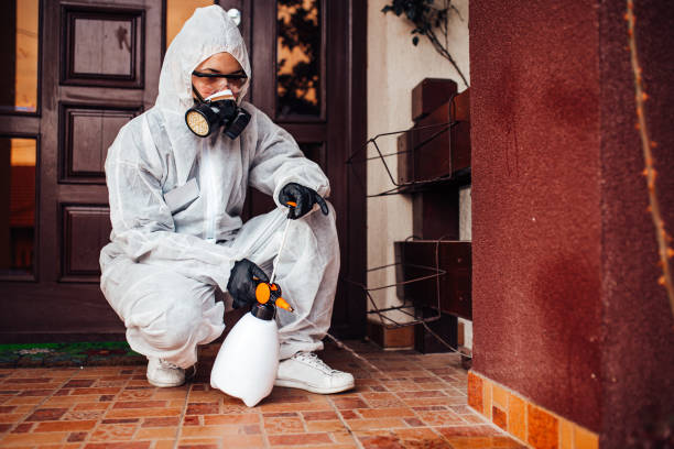 Reliable Cockroach Control contractor in Park Hills, MO by Nex Pest Control